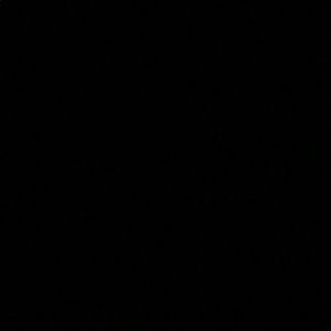 Meet your Posher, Tinney